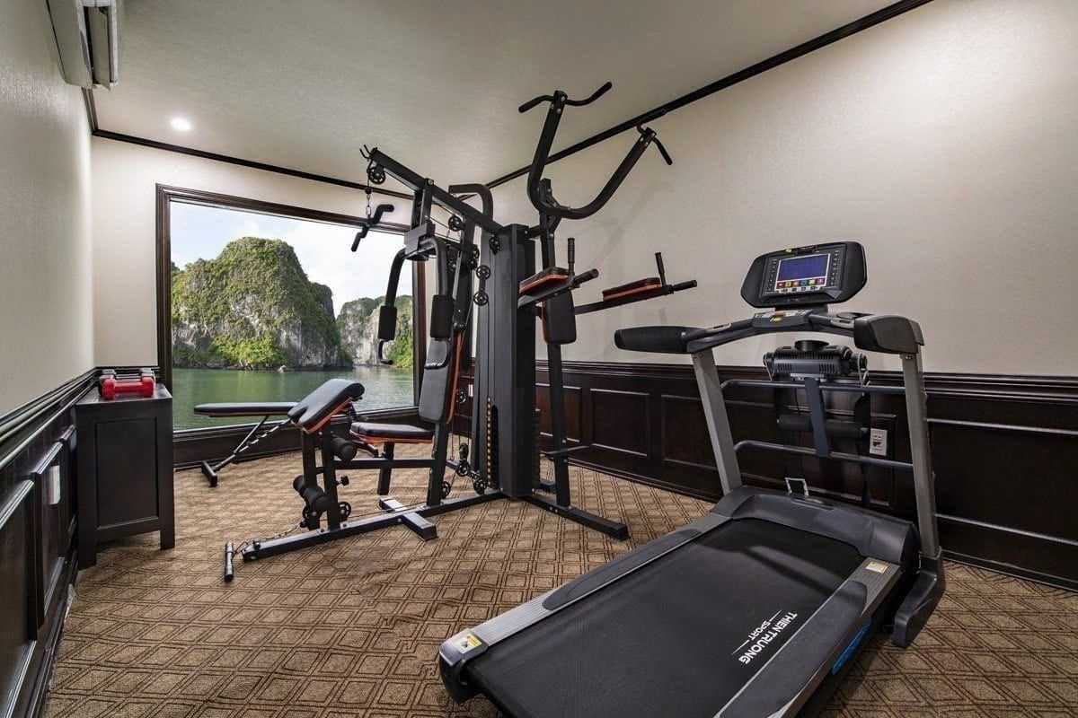 Aspira Cruise gym with a treadmill and weights facing the bay