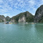 Aspira Cruise review by Lorraine