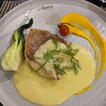 Aspira Cruise review by Mayanne