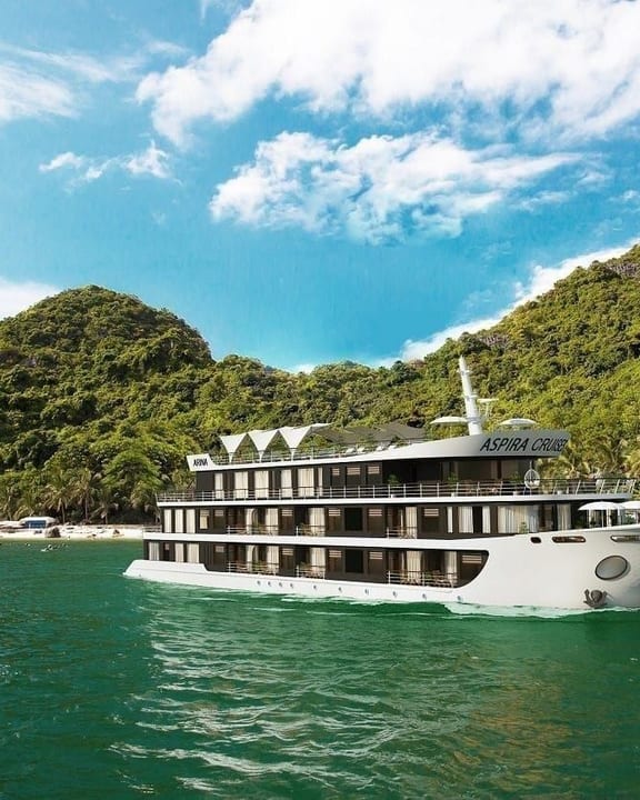 Aspira Cruise passing a forested island under a bright sky